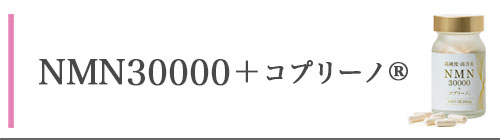 NMN15000ץ꡼